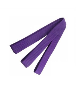 Karate Belt